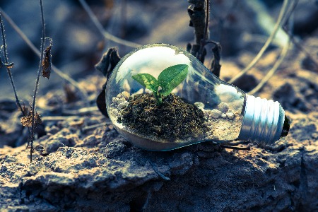 Seguro Ambiental 