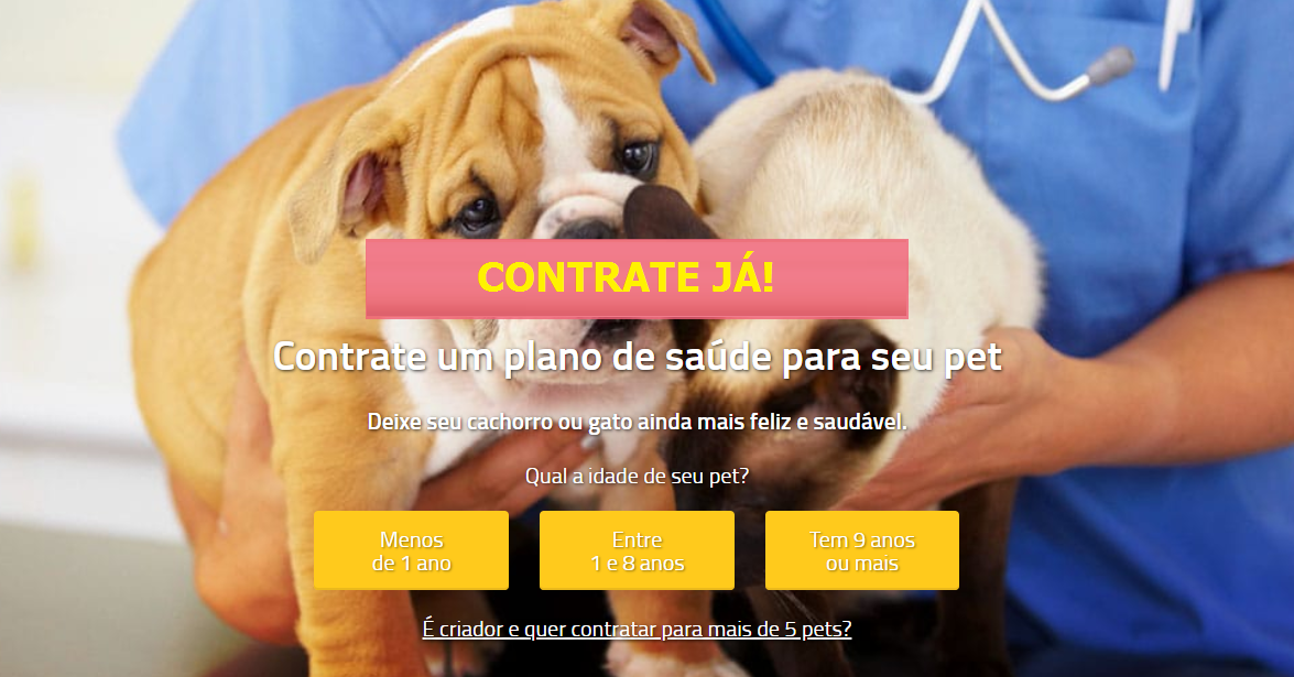 PLANO PARA PET